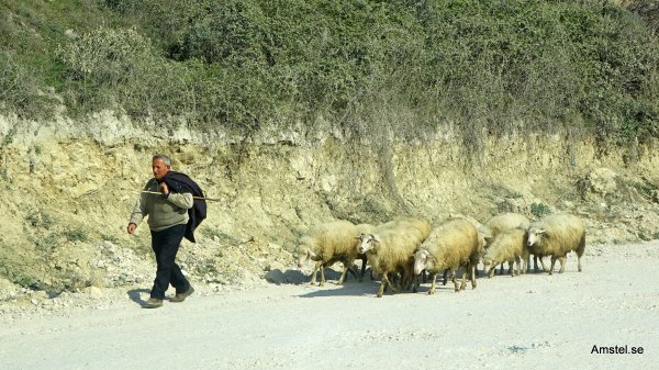 1711-24.JPG 1711-24.JPG