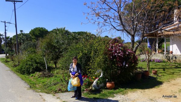 1712-07.JPG 1712-07.JPG