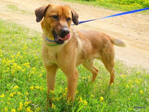 Bozakos170326-1.JPG Bozakos170326-1.JPG