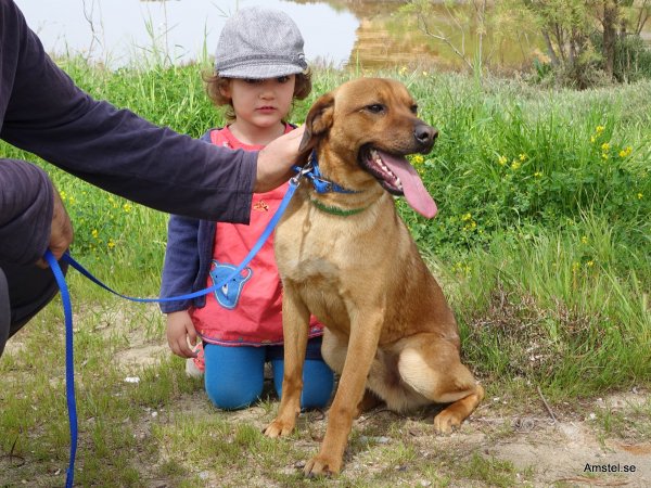 Bozakos170326-2.JPG Bozakos170326-2.JPG