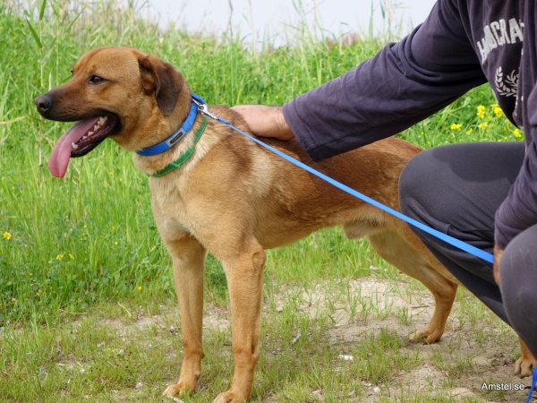 Bozakos170326-3.JPG Bozakos170326-3.JPG