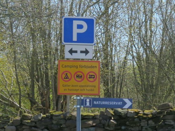 IMG_2965 - Kopia.JPG