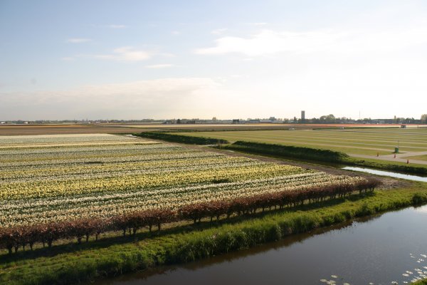 IMG_6263.JPG IMG_6263.JPG