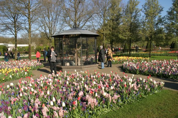 IMG_6258.JPG IMG_6258.JPG