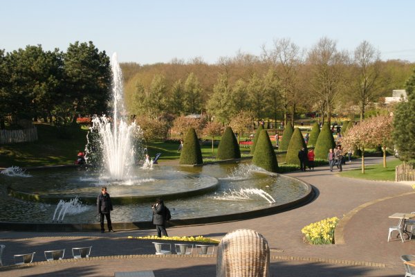 IMG_6261.JPG IMG_6261.JPG