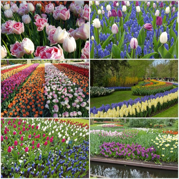 20170419_150024.jpg 20170419_150024.jpg