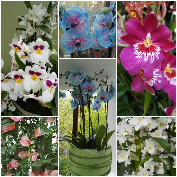 20170419_113939.jpg 20170419_113939.jpg