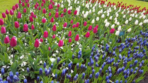 20170419_104627.jpg 20170419_104627.jpg