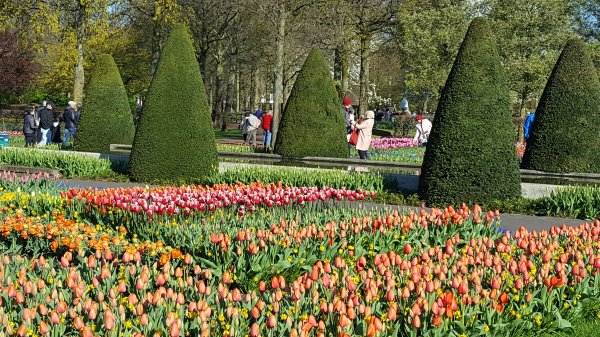 20170419_093117.jpg 20170419_093117.jpg