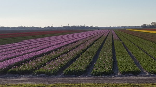 20170418_190714.jpg 20170418_190714.jpg