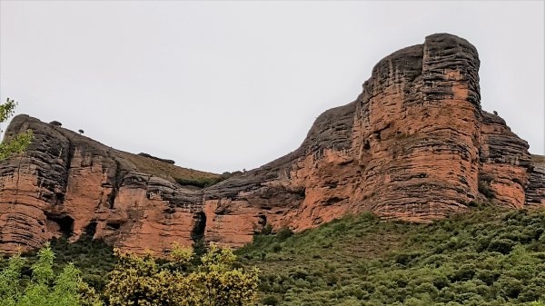 2017-05-18 13.58.09.jpg