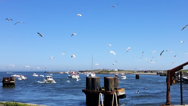 2017-05-25 13.00.47.jpg 2017-05-25 13.00.47.jpg