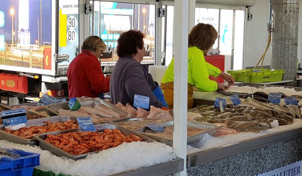 2017-05-25 13.02.13.jpg 2017-05-25 13.02.13.jpg