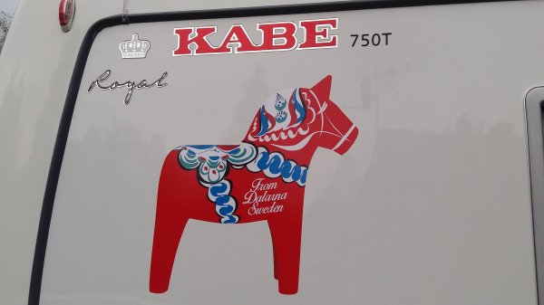 2017-05-28 16.55.03.jpg