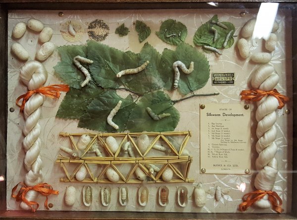 2017-05-30 14.01.13.jpg 2017-05-30 14.01.13.jpg