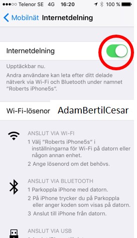 Int-deln-iPhone-4.jpg