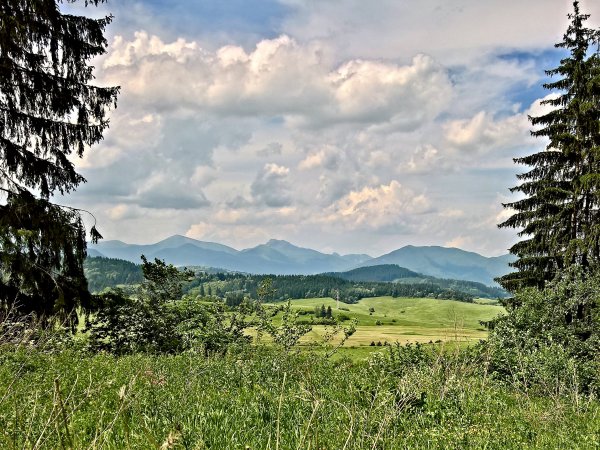 WP_20170606_13_08_55_Rich (3).jpg