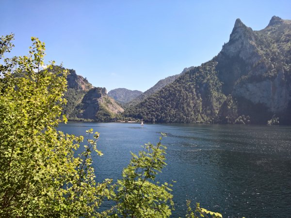 WP_20170611_11_24_02_Rich (2).jpg