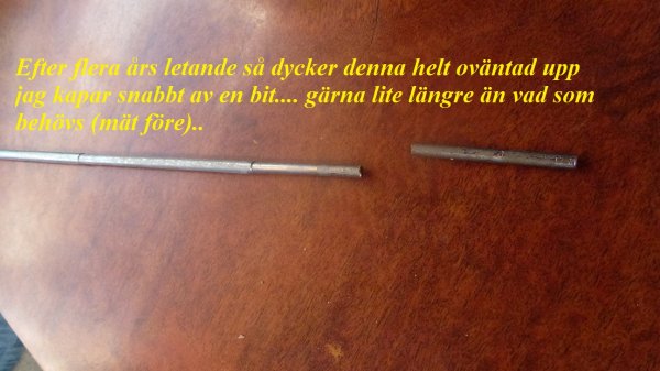 P1050081.JPG