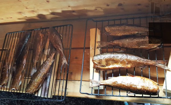 2017-06-29 14.28.15.jpg