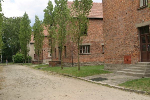 IMG_6324.JPG IMG_6324.JPG