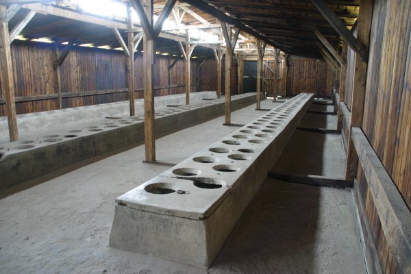 IMG_6444.JPG IMG_6444.JPG