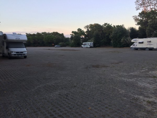 IMG_1360.JPG IMG_1360.JPG