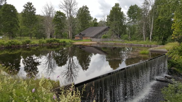 2017-07-09 15.36.49.jpg