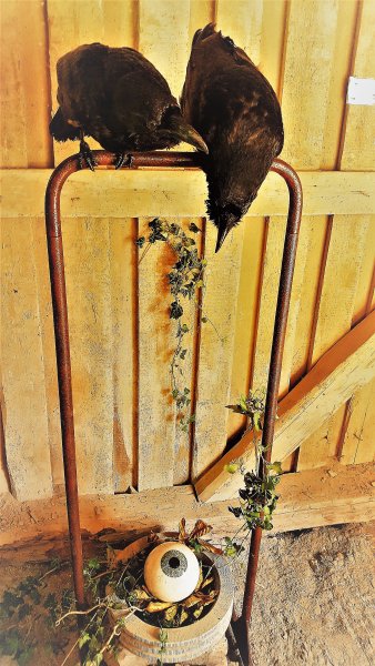 2017-07-19 12.20.24.jpg