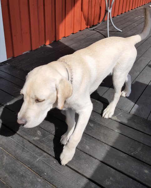 2017-07-22 10.56.13.jpg 2017-07-22 10.56.13.jpg