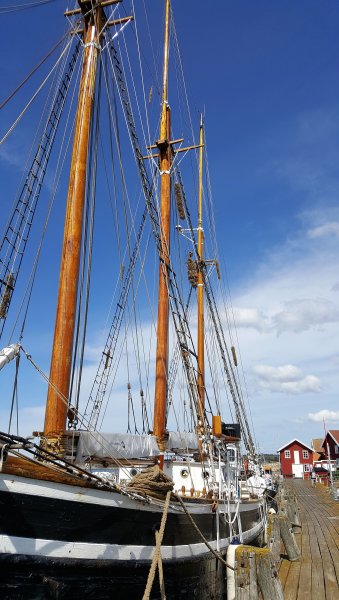 2017-07-22 12.07.55.jpg 2017-07-22 12.07.55.jpg