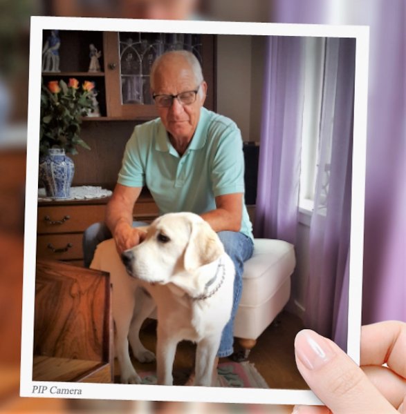 2017-07-24 12.47.37.jpg 2017-07-24 12.47.37.jpg