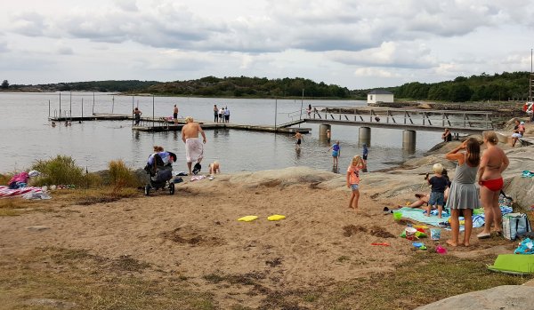 2017-07-25 16.17.39.jpg