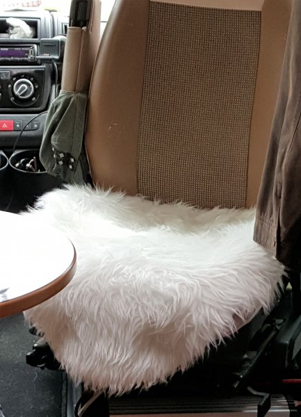 2017-07-28 15.22.03.jpg