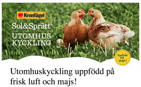 testkyckling.jpg