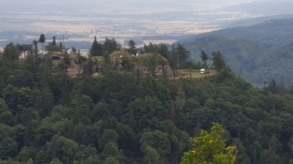 20170803_135143.jpg
