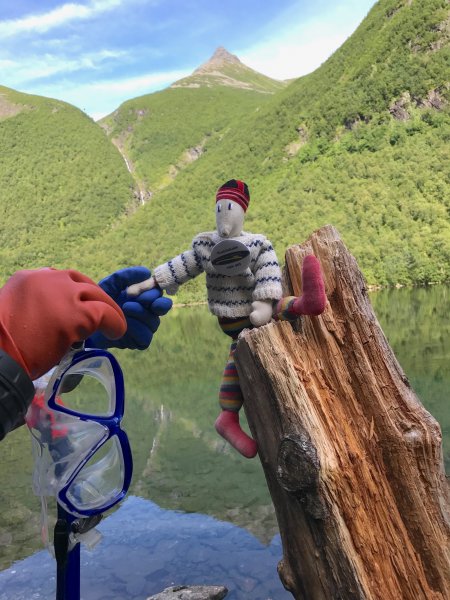 6B624548-83D7-4098-AD9E-8C852C25C4B7.jpg 6B624548-83D7-4098-AD9E-8C852C25C4B7.jpg