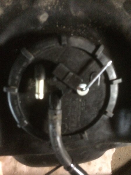 IMG_0488.JPG IMG_0488.JPG