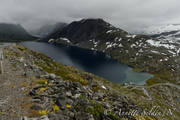 _STF0784.jpg _STF0784.jpg