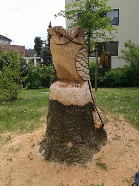 20160517_143359.jpg 20160517_143359.jpg