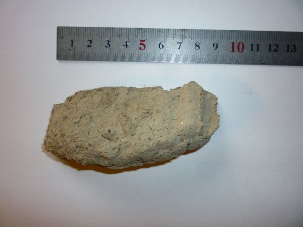 P1040550.JPG P1040550.JPG