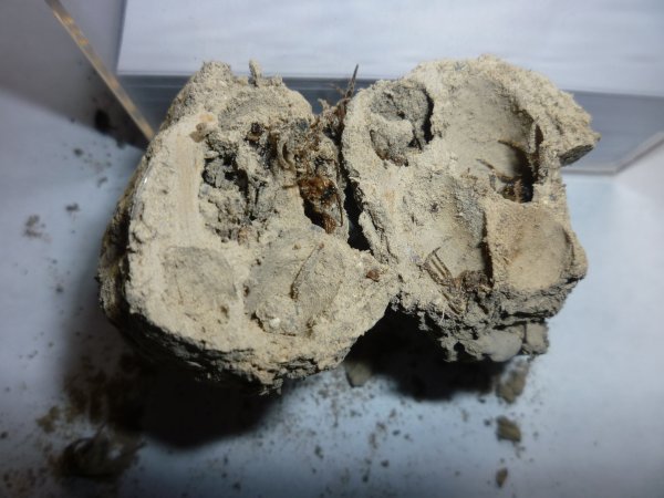 P1040551.JPG P1040551.JPG