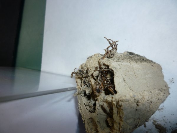 P1040552.JPG P1040552.JPG