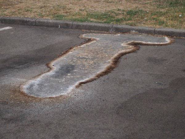 P8297174.JPG P8297174.JPG