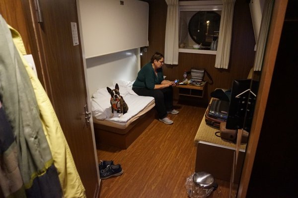 blåbär_1030.jpg blåbär_1030.jpg