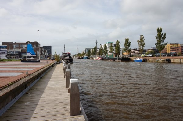 blåbär_1070.jpg blåbär_1070.jpg