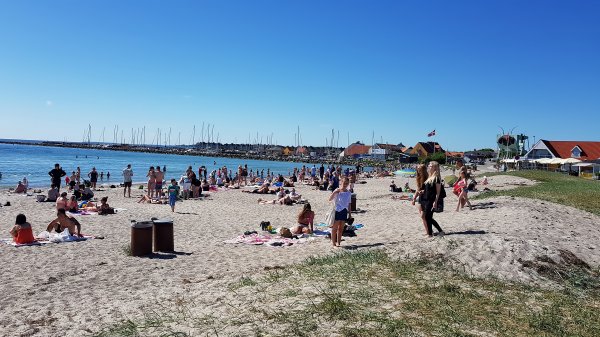 2017-05-26 15.44.00.jpg