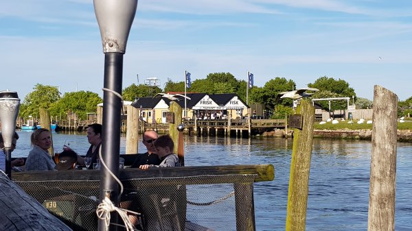 2017-05-25 19.19.25.jpg