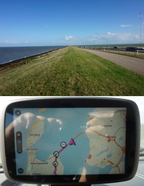 blåbär_1110.jpg blåbär_1110.jpg