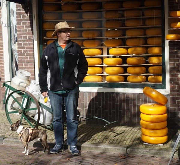 blåbär_1120.jpg blåbär_1120.jpg